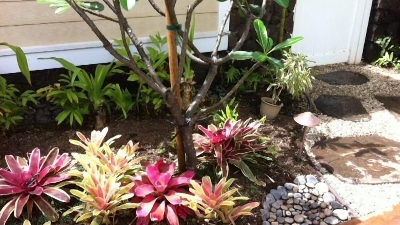 Photo of Outdoor in Waialae Iki Ridge