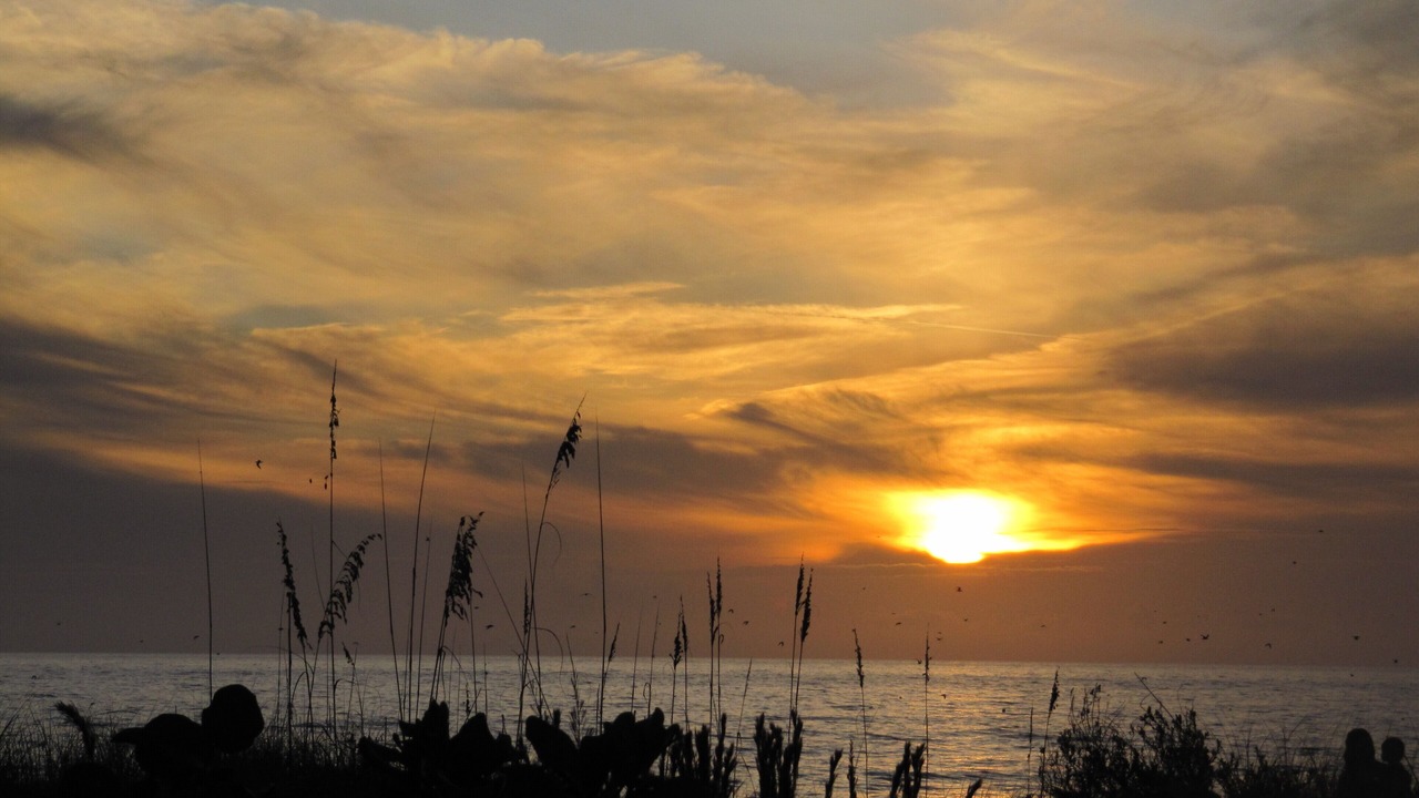 Photo of Others in Bradenton Beach