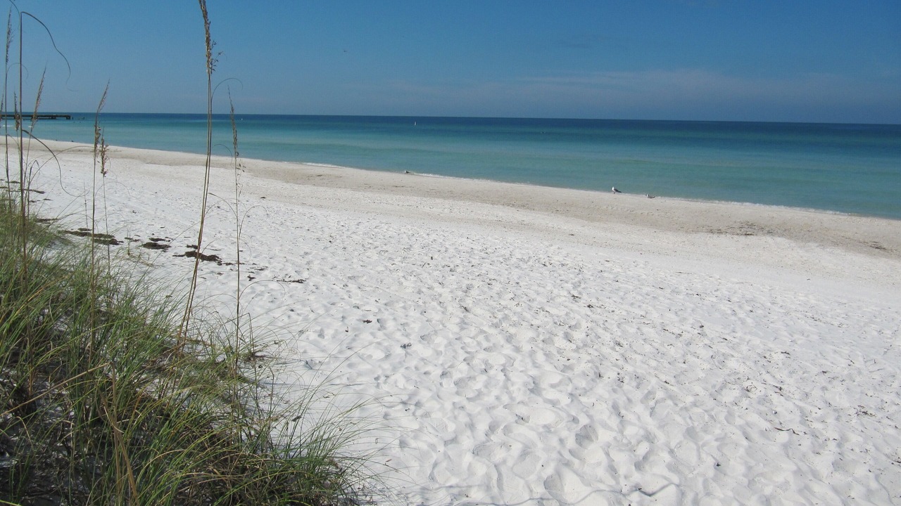 Photo of Others in Bradenton Beach