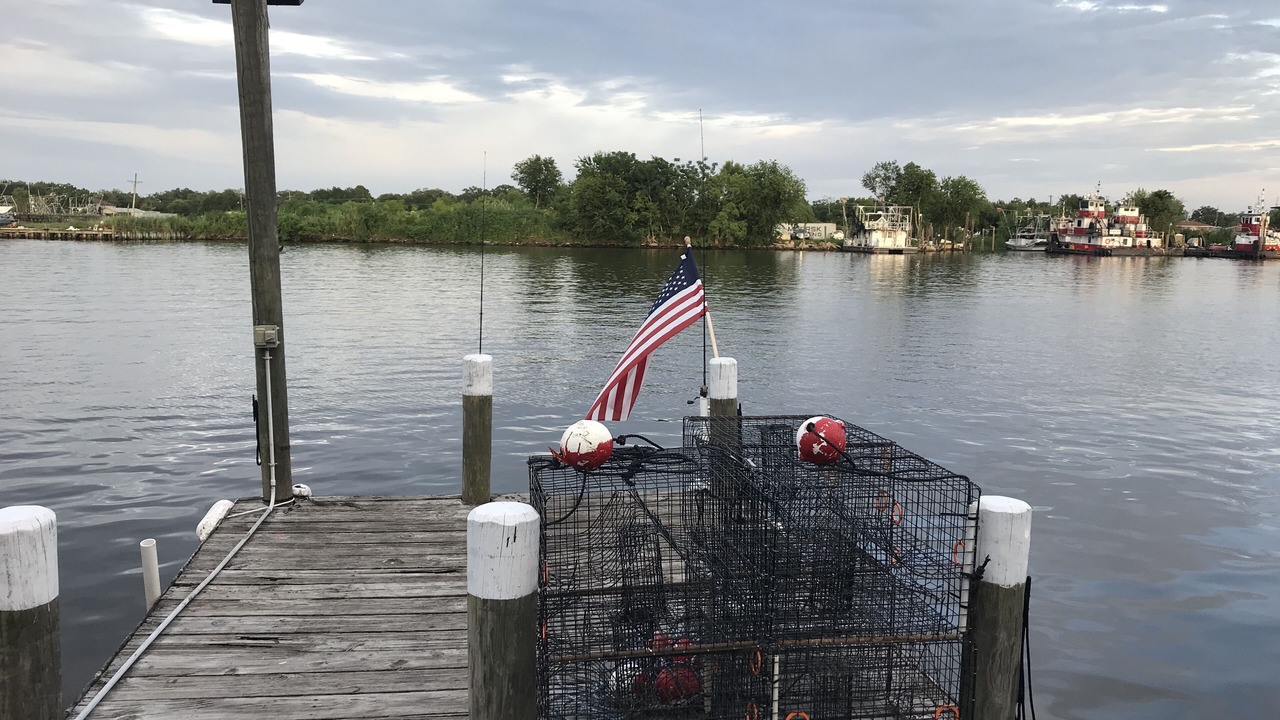 Photo of Outdoor in Barataria