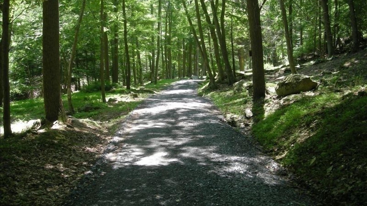 Photo of Others in Sabillasville