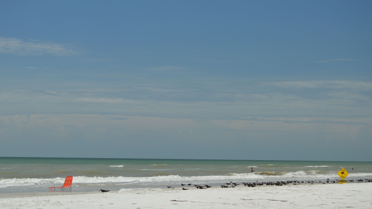 Photo of Others in Indian Shores