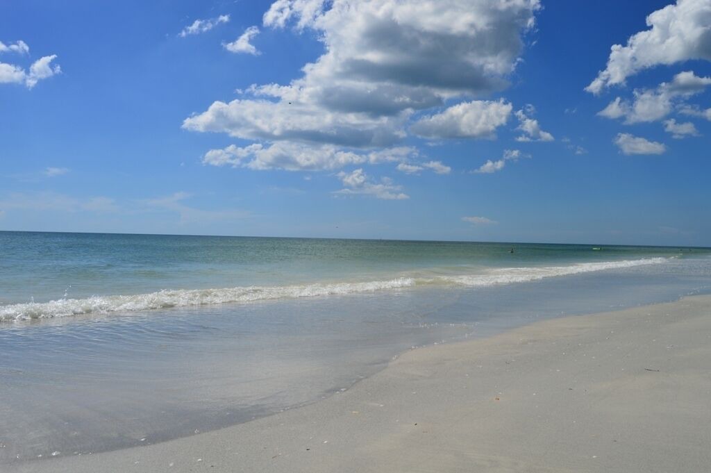 Photo of Others in Indian Shores