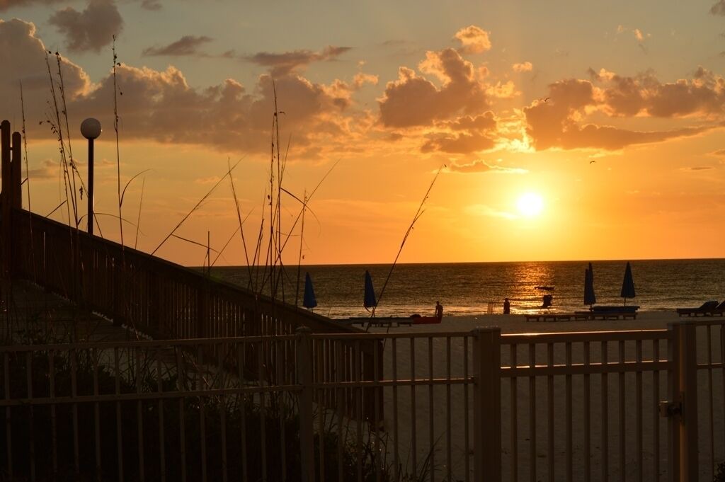 Photo of Others in Indian Shores