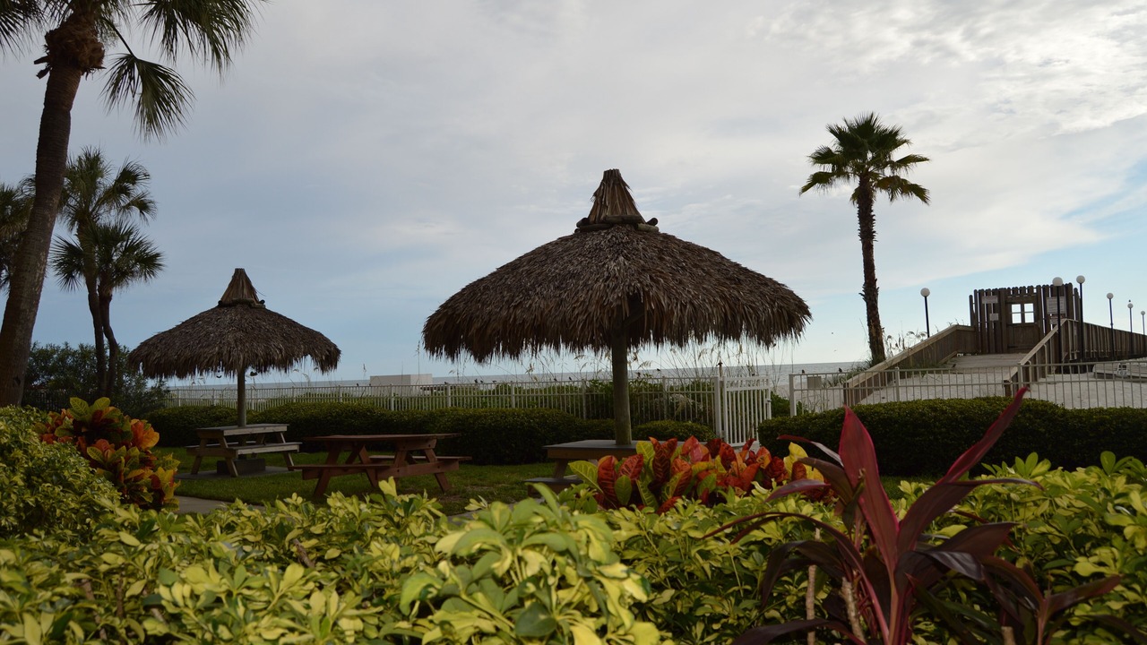 Photo of Outdoor in Indian Shores