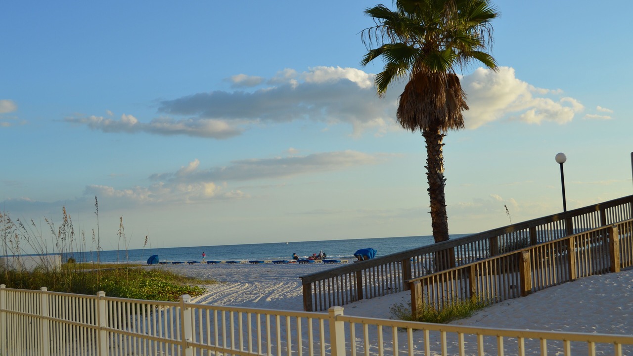 Photo of Others in Indian Shores