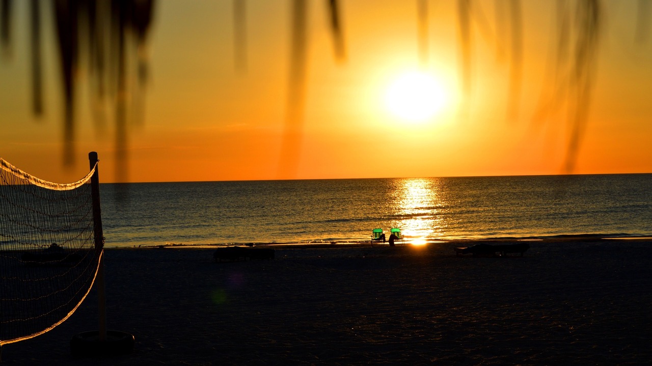 Photo of Others in Indian Shores