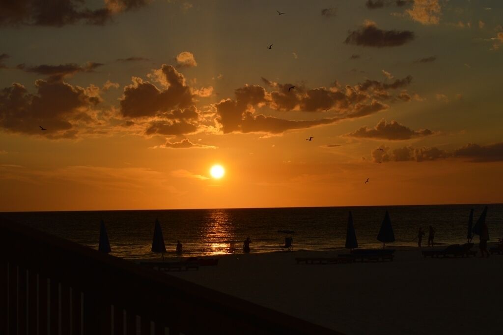 Photo of Others in Indian Shores