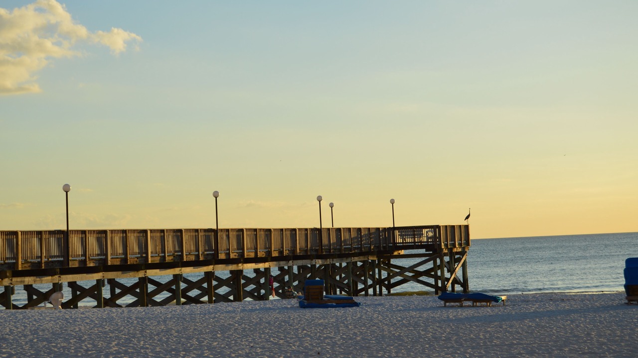 Photo of Others in Indian Shores