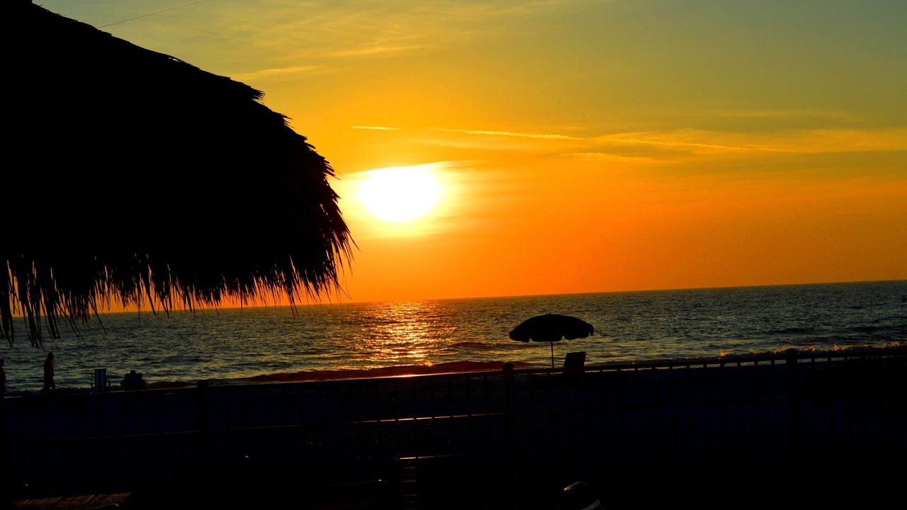 Photo of Others in Indian Shores