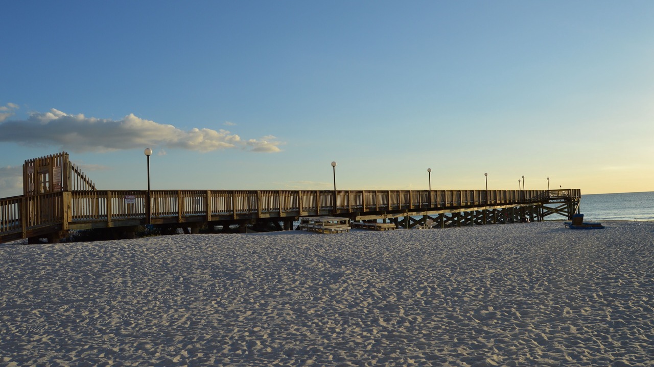 Photo of Others in Indian Shores