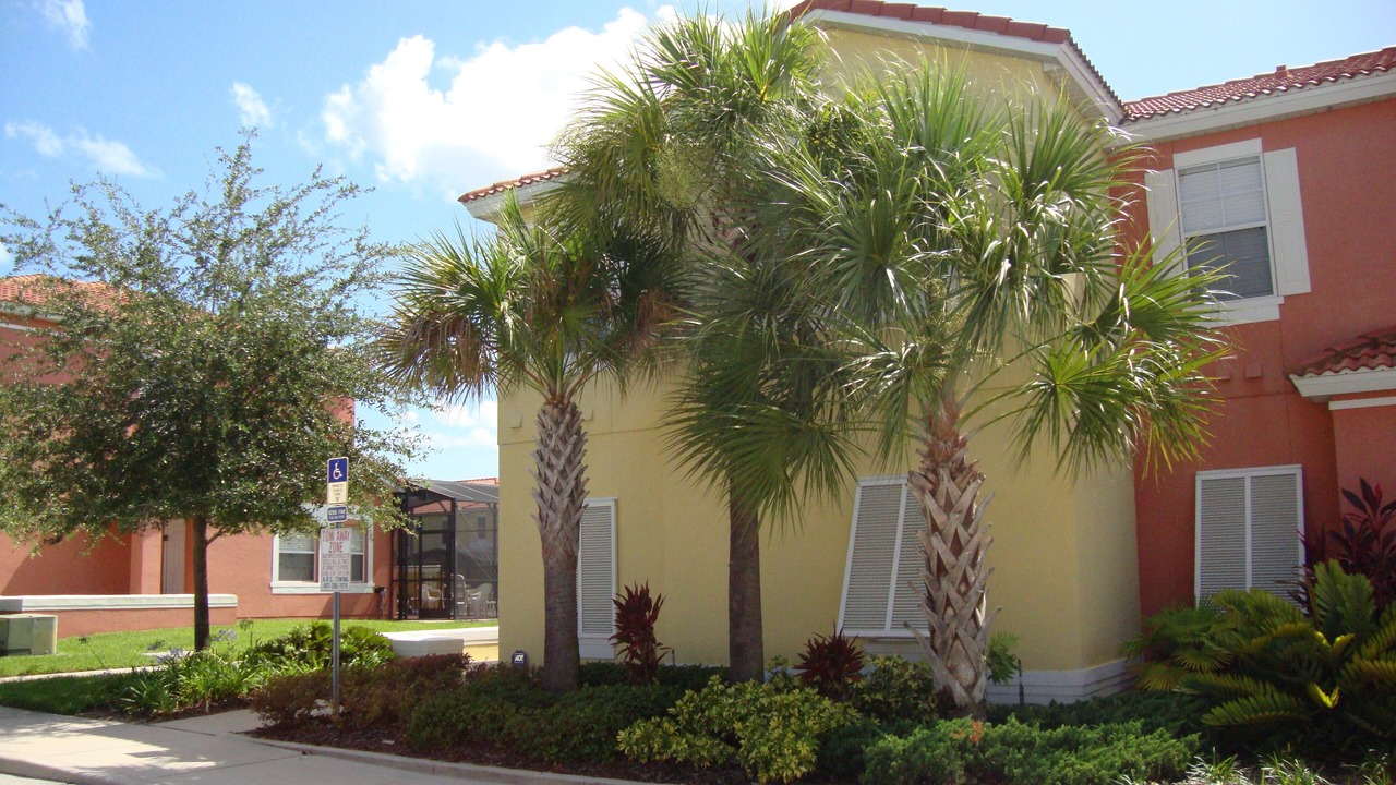 Photo of Outdoor in West Kissimmee