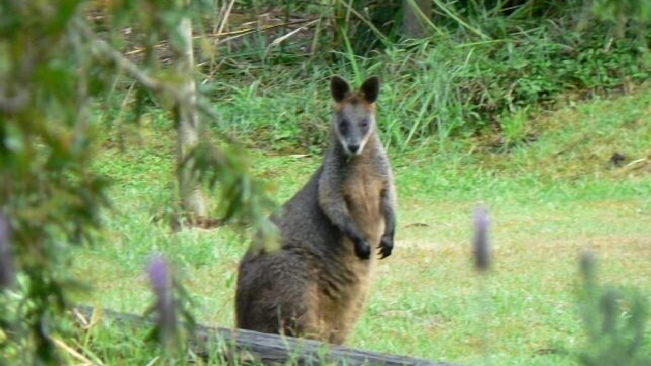 Photo of Outdoor in Blackheath