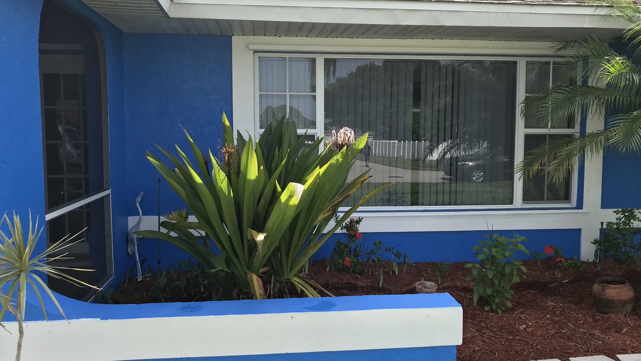 Photo of Others in Fort Myers