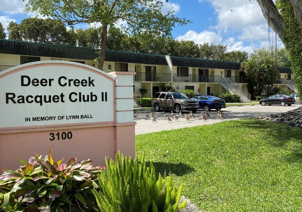 Photo of Outdoor in Deerfield Beach