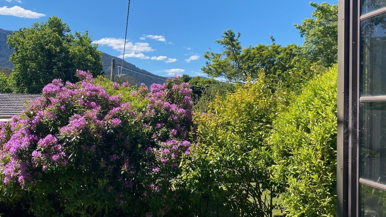 Photo of Outdoor in Warburton