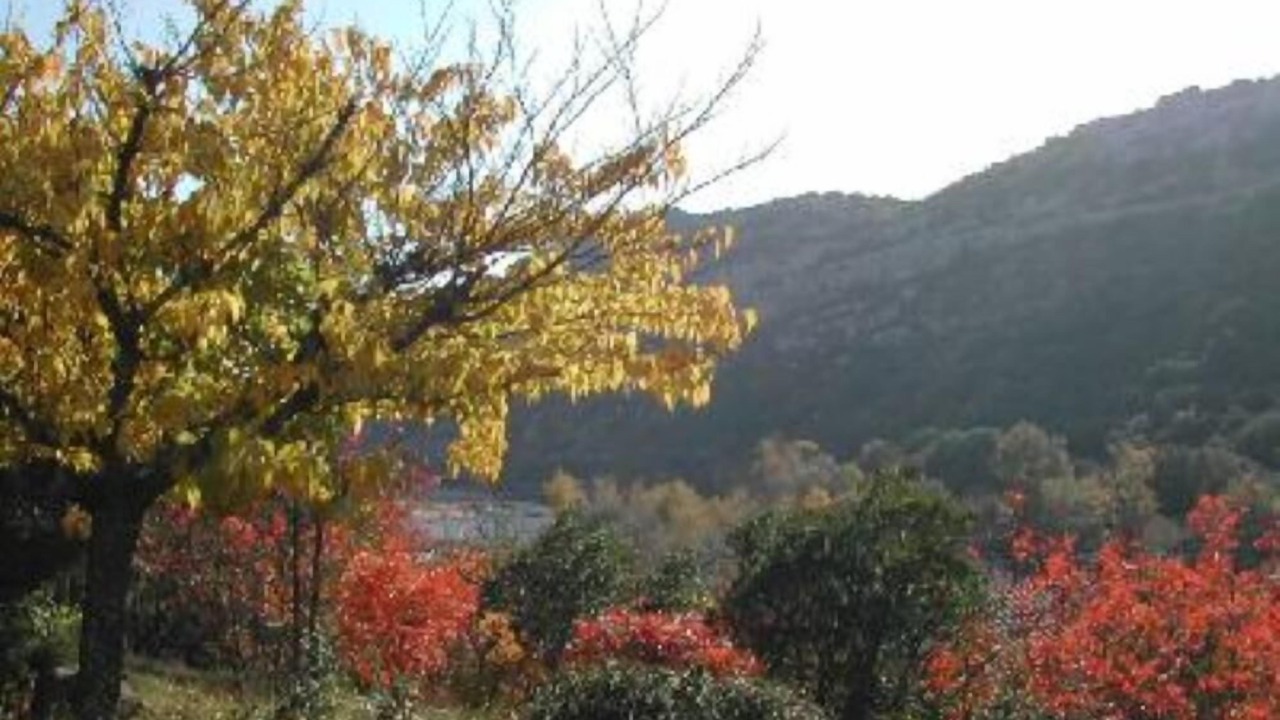 Photo of Outdoor in Saint-Martin-d'Ardeche