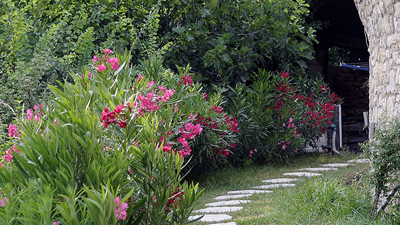 Photo of Outdoor in Issirac