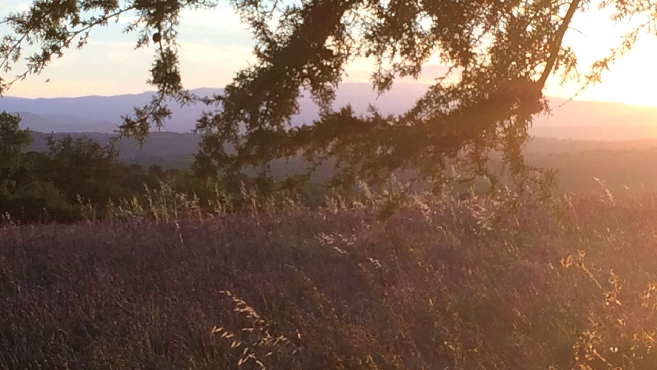 Photo of Outdoor in Issirac