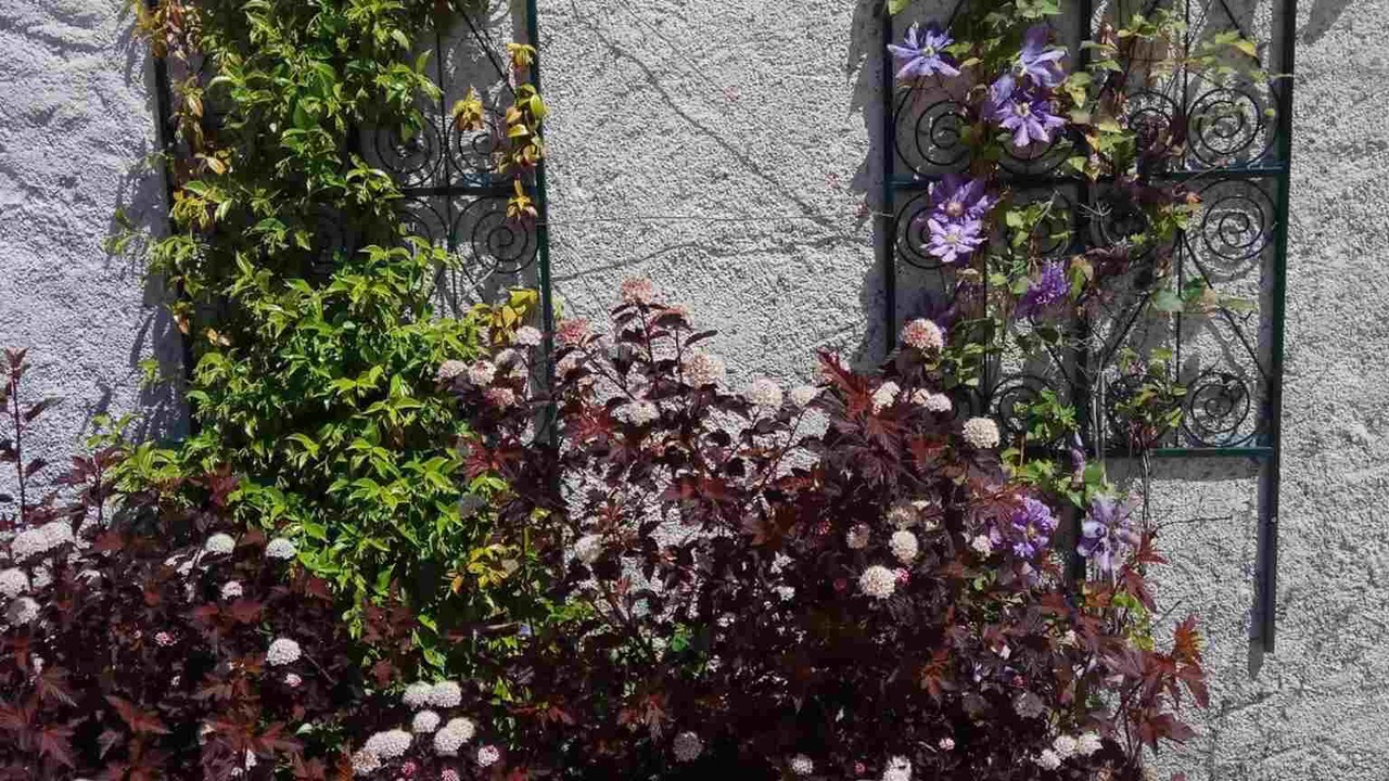 Photo of Outdoor in Esves-le-Moutier