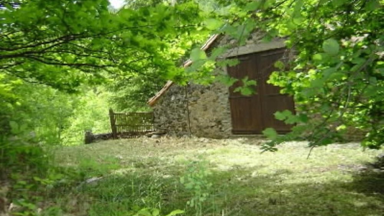 Photo of Outdoor in Alzon