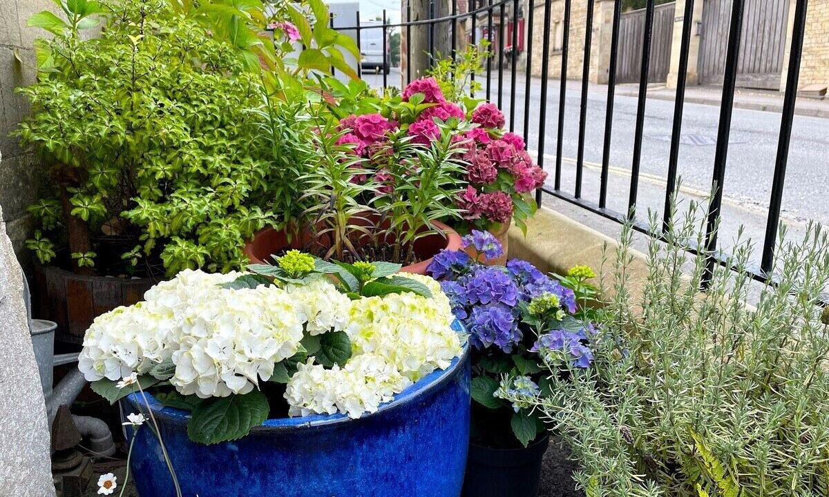 Photo of Outdoor in Box