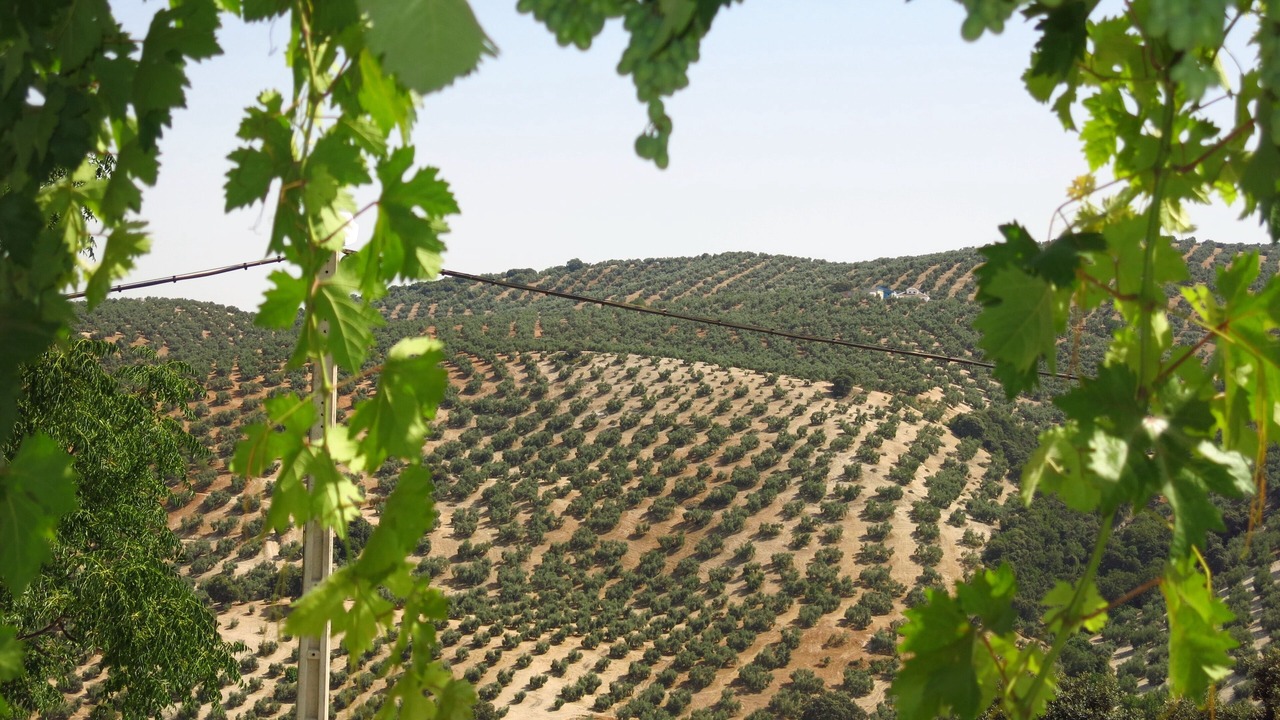 Photo of Outdoor in Iznajar