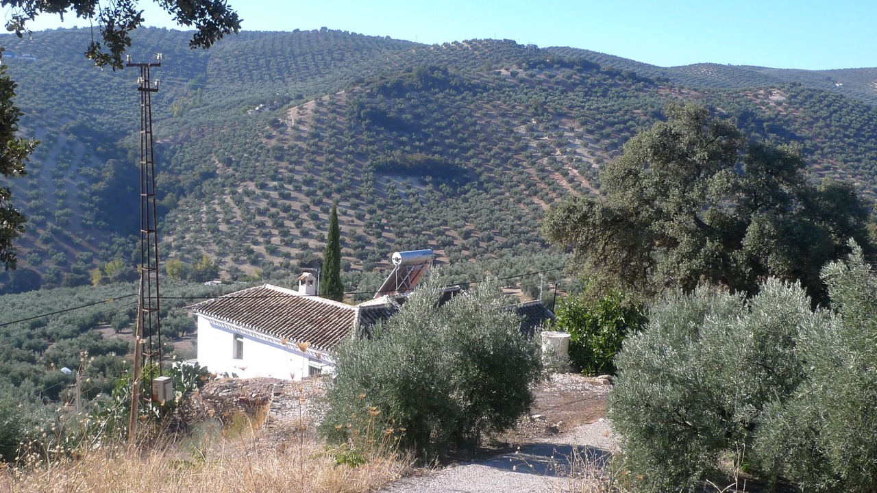 Photo of Outdoor in Iznajar