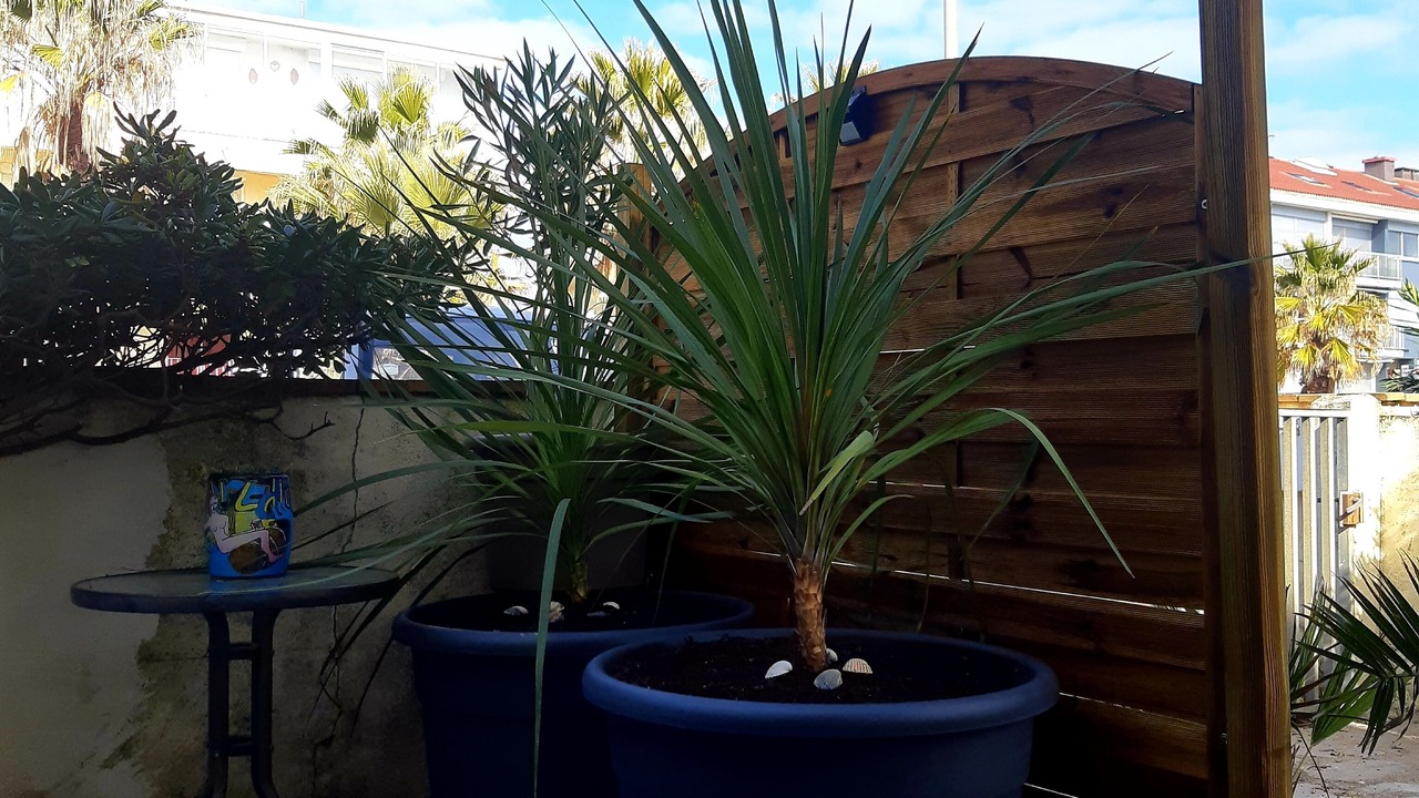 Photo of Outdoor in Palavas-les-Flots