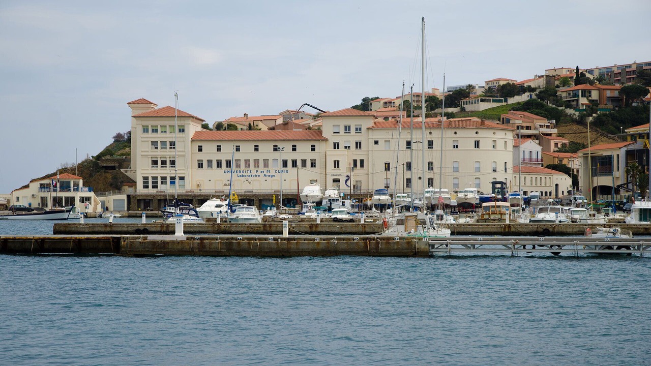 Photo of Others in Banyuls-sur-Mer
