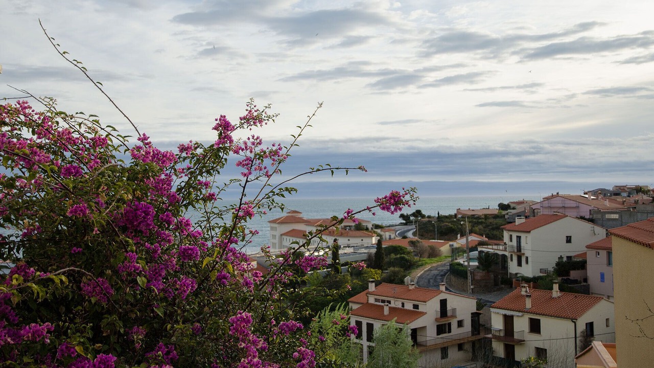 Photo of Others in Banyuls-sur-Mer
