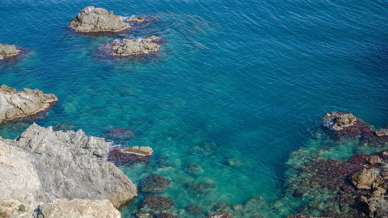 Photo of Others in Banyuls-sur-Mer