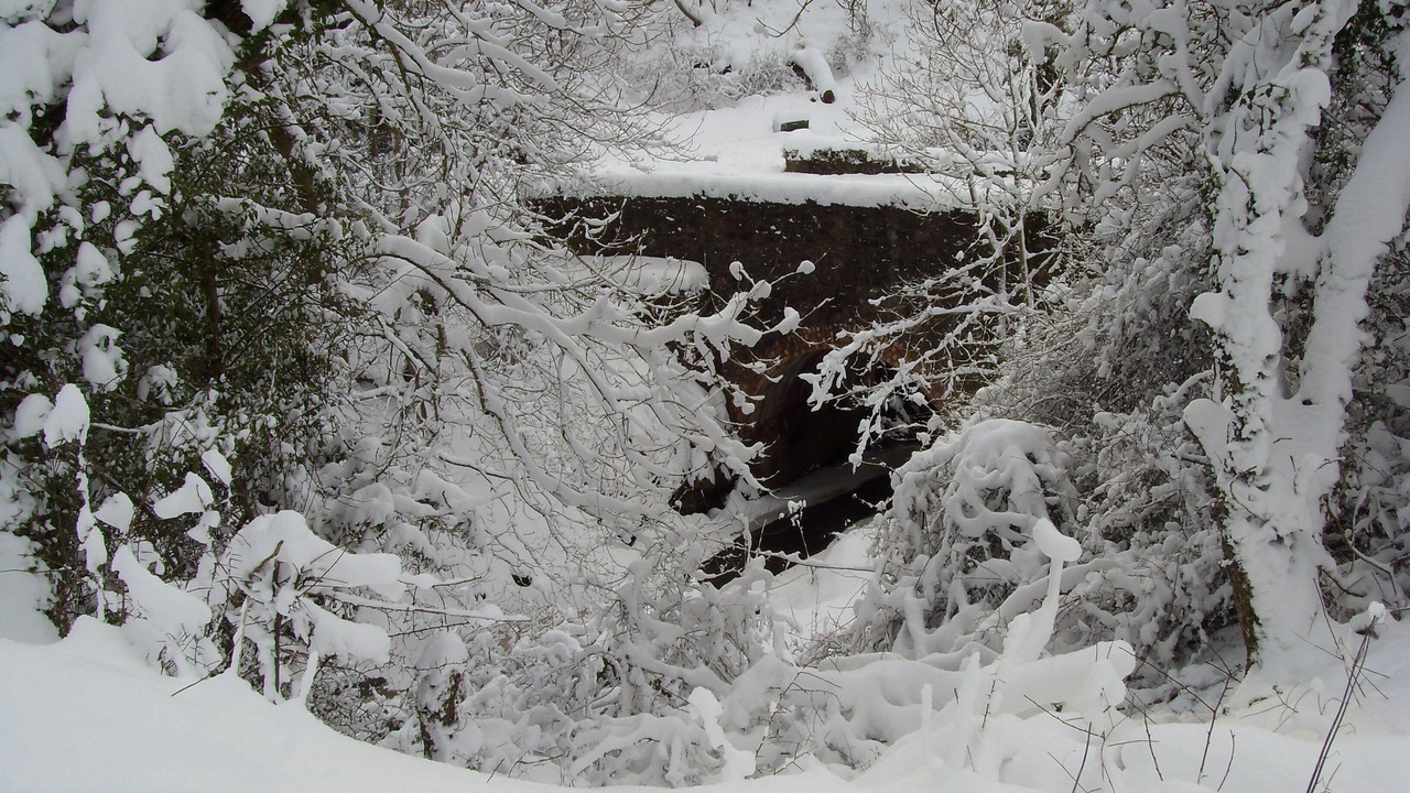 Photo of Others in Eyemouth