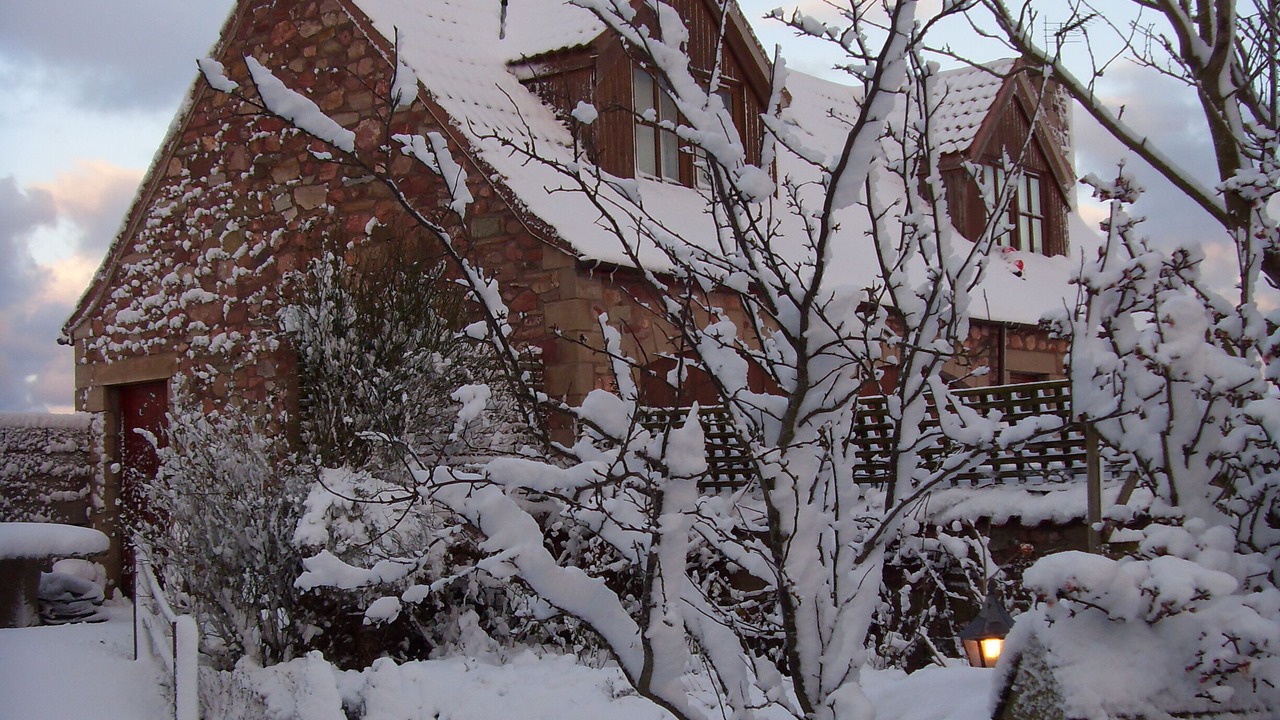 Photo of Others in Eyemouth