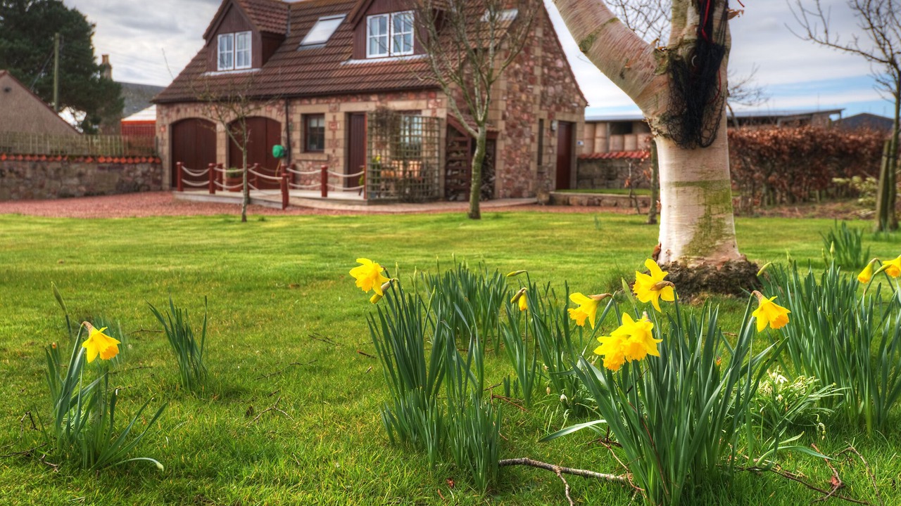 Photo of Others in Eyemouth