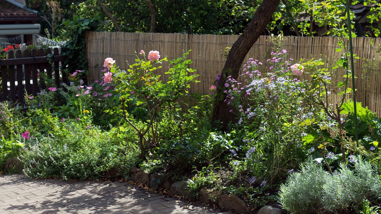 Photo of Outdoor in Colmar Centre Ville