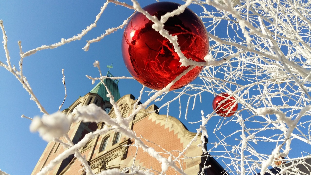 Photo of Others in Colmar Centre Ville