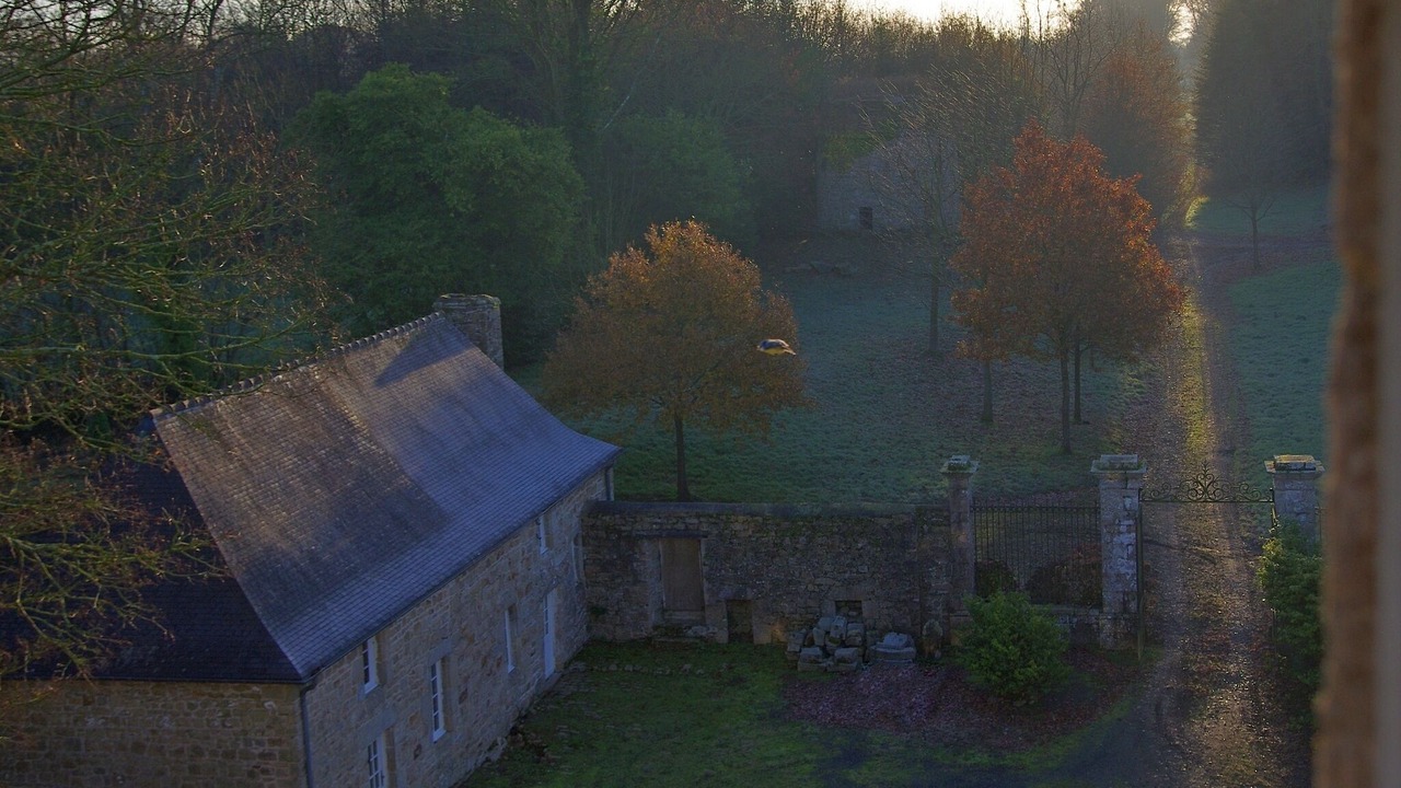 Photo of Outdoor in Pabu