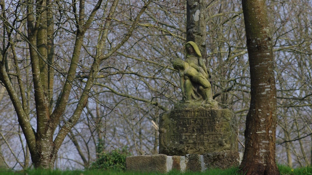 Photo of Outdoor in Pabu