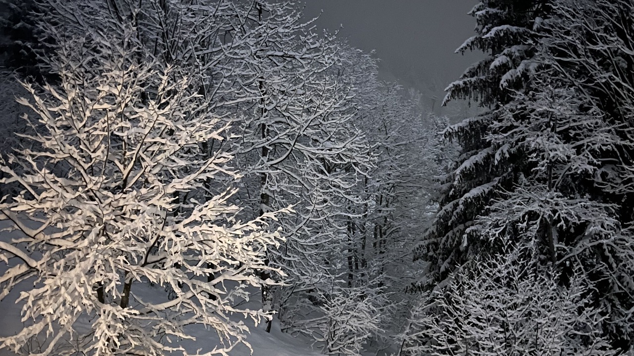Photo of Outdoor in Valmorel