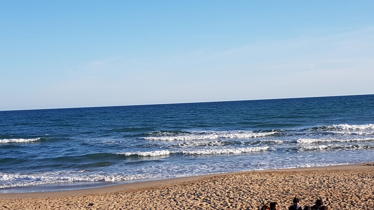 Photo of Others in Palamos