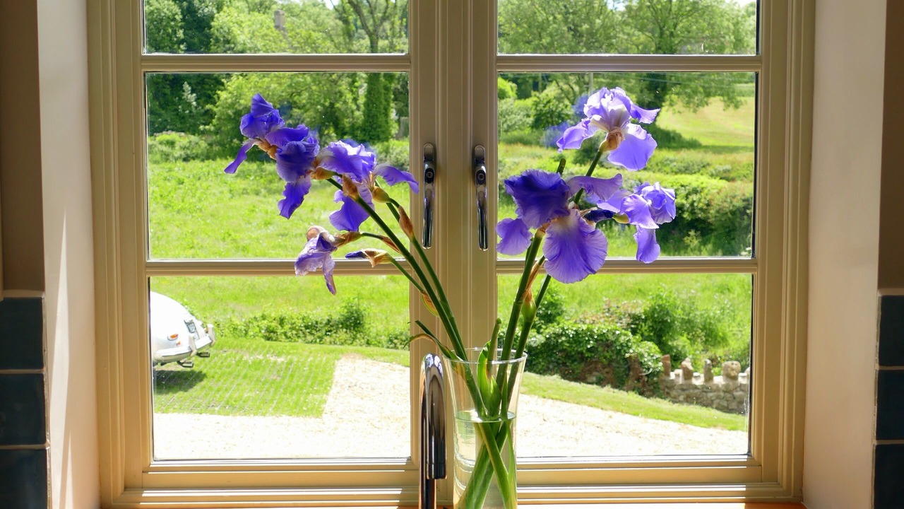 Photo of Others in Radstock