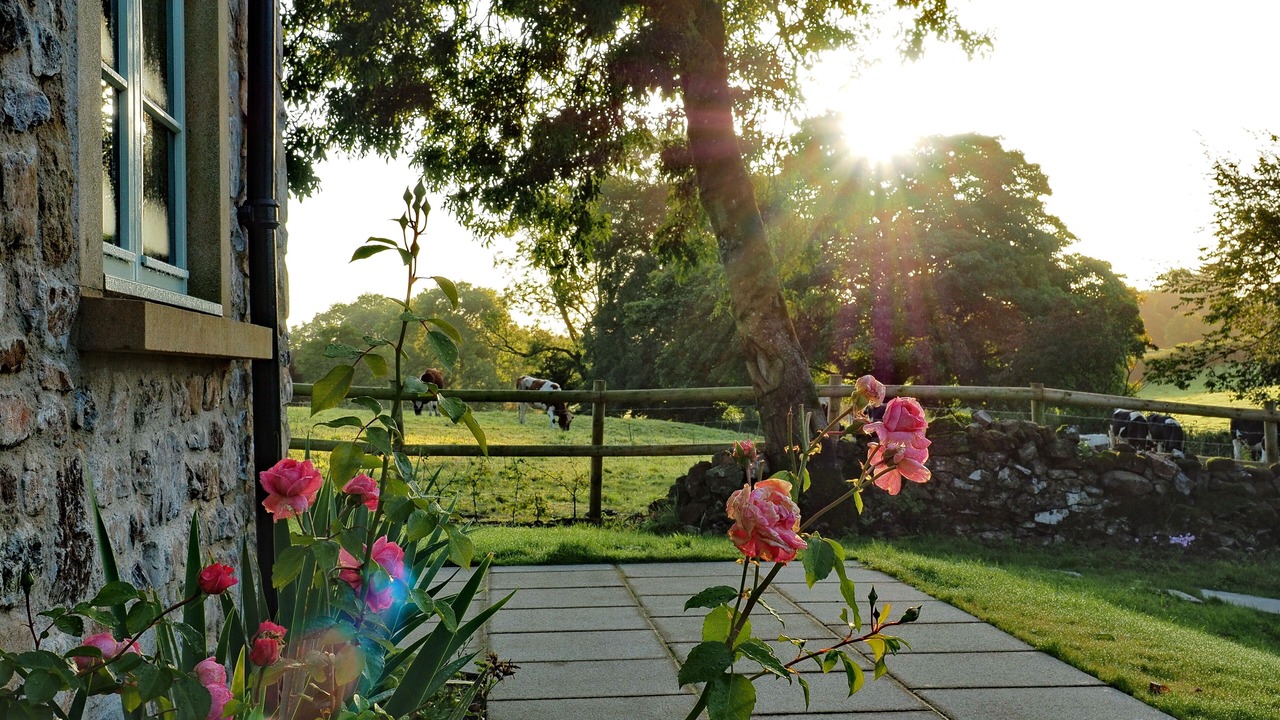 Photo of Others in Radstock