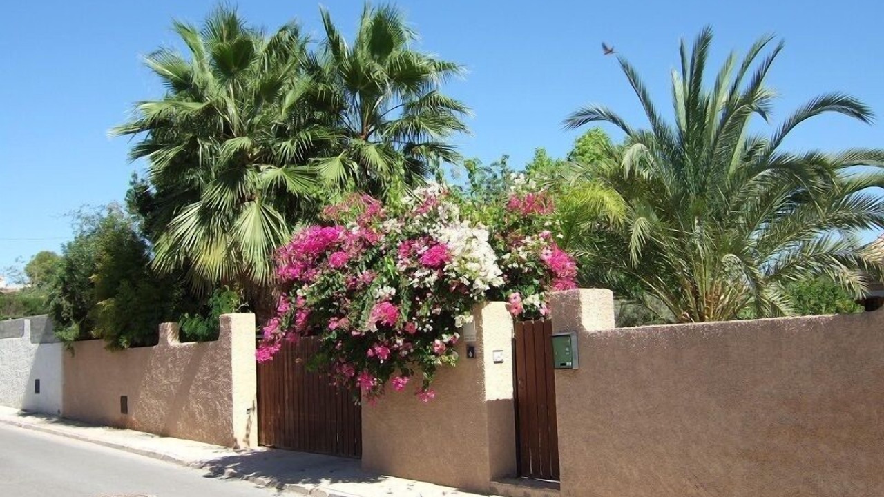 Photo of Outdoor in Hoya de los Patos