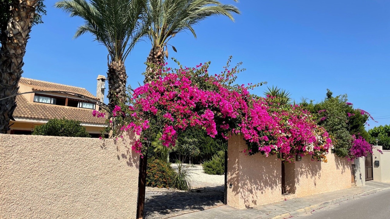 Photo of Outdoor in Hoya de los Patos