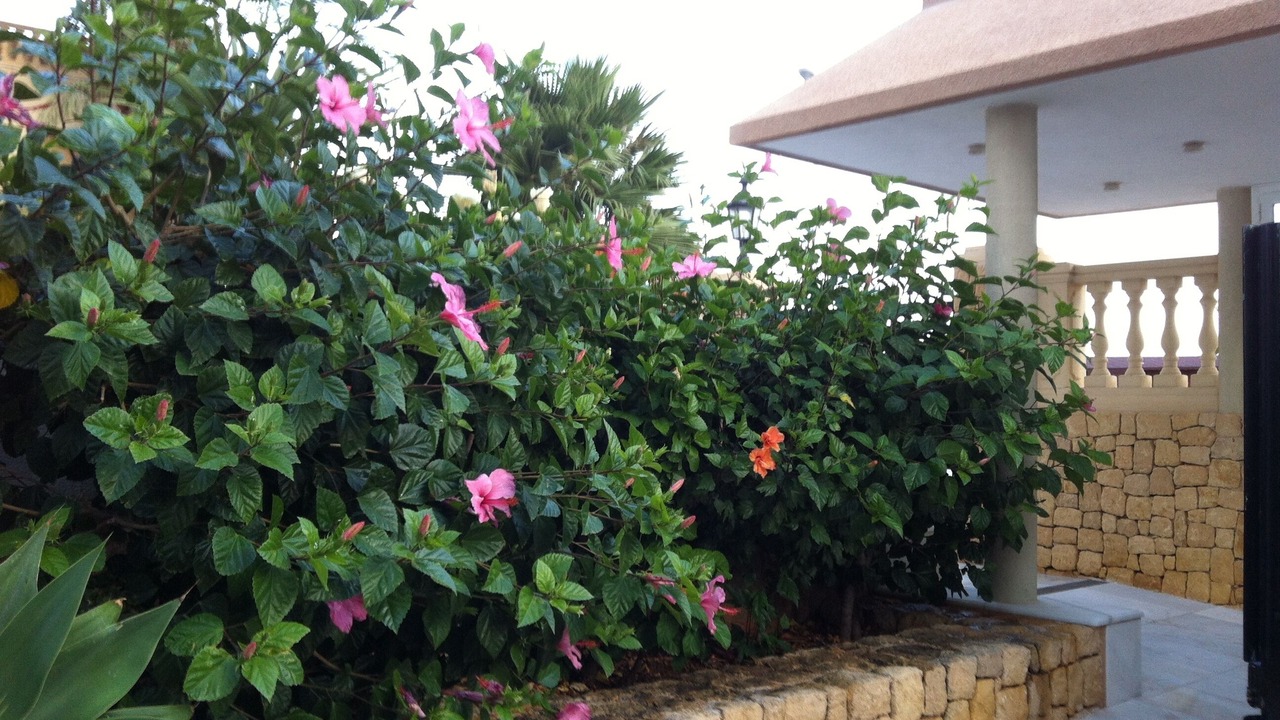 Photo of Outdoor in Calpe City Center