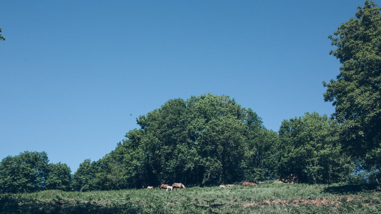 Photo of Outdoor in Valcarlos