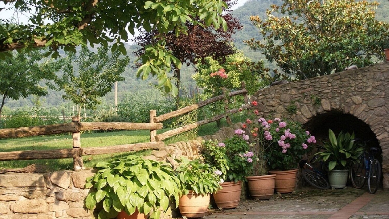 Photo of Outdoor in Santa Margarida de Bianya