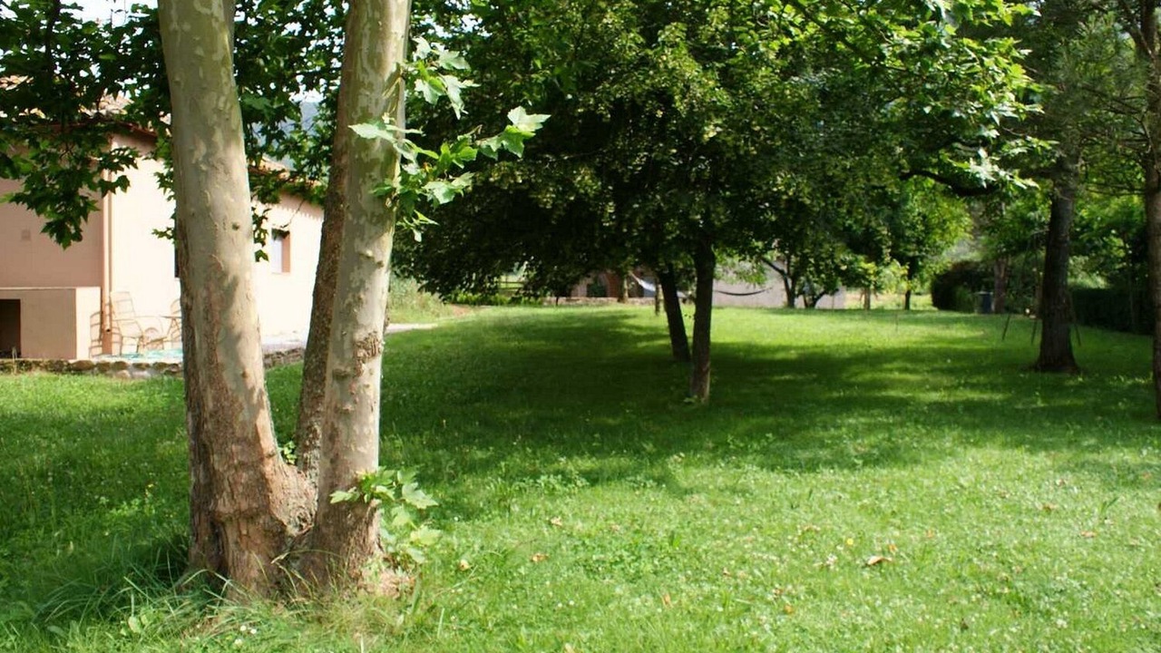 Photo of Outdoor in Santa Margarida de Bianya