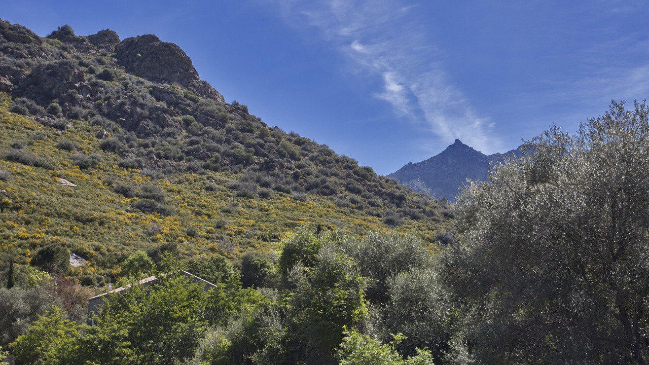 Photo of Others in Feliceto